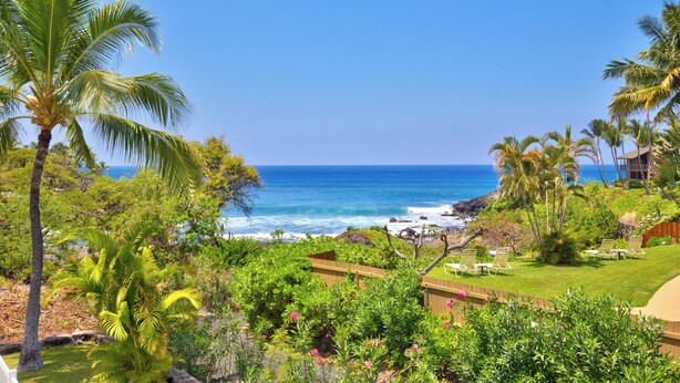 A coastal view with palm trees, a clear sky, and a beach in the background.