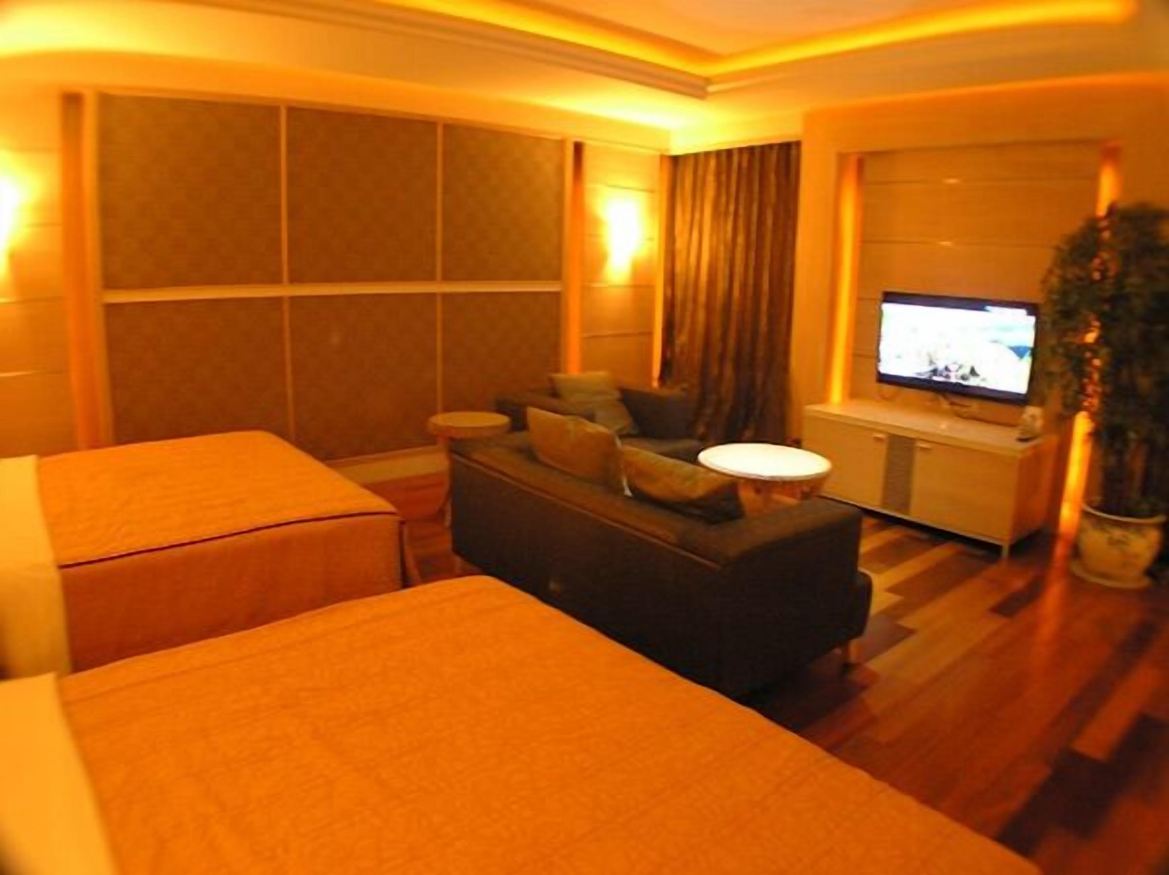 Een hotelkamer met een bed, een bank, een televisie en een potplant.
