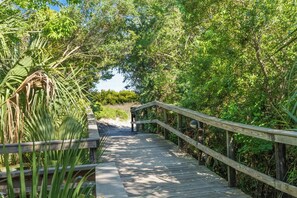 Walk along the scenic boardwalk surrounded by lush greenery and trees.