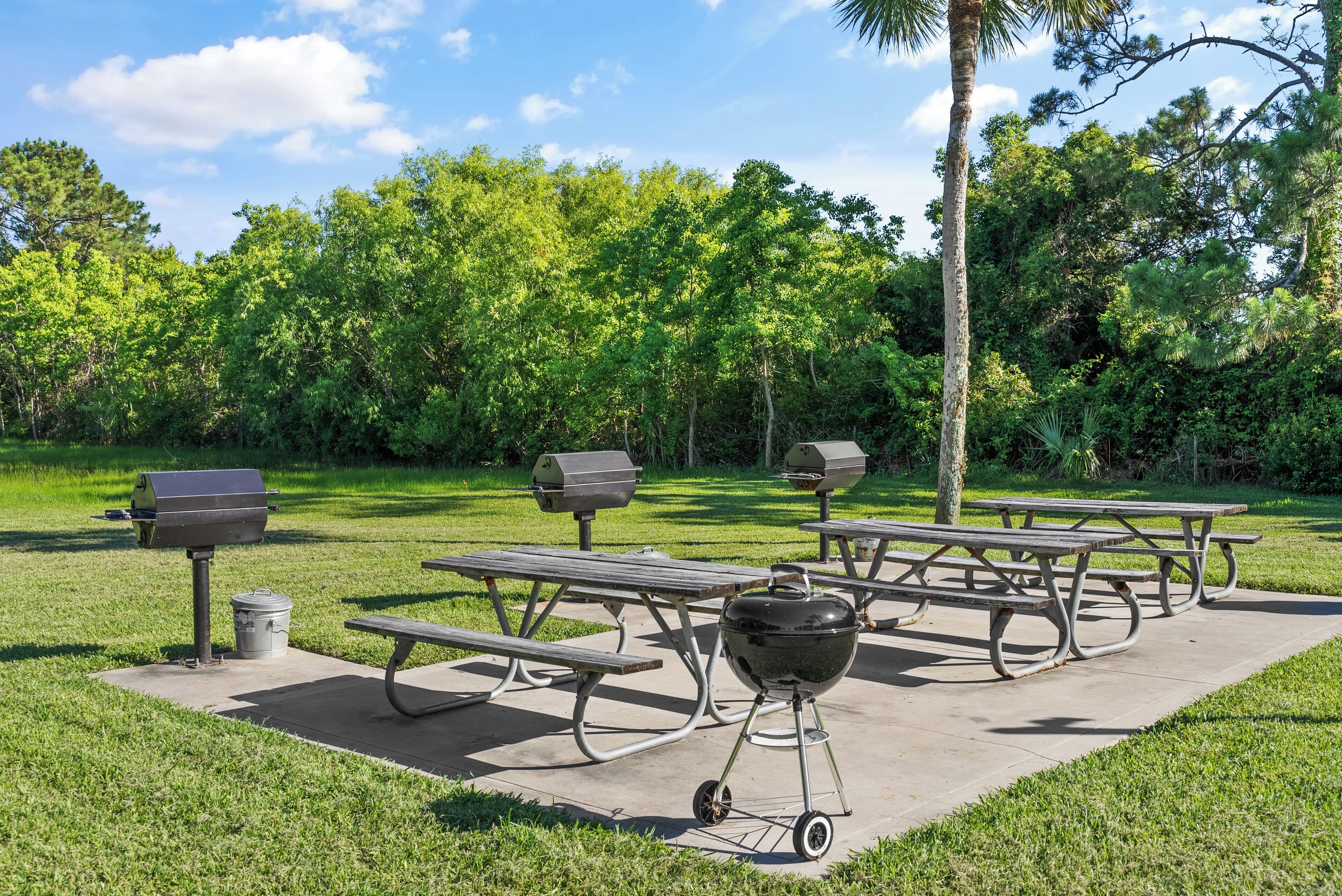 An outdoor picnic area with picnic tables, grills, and a trash can.