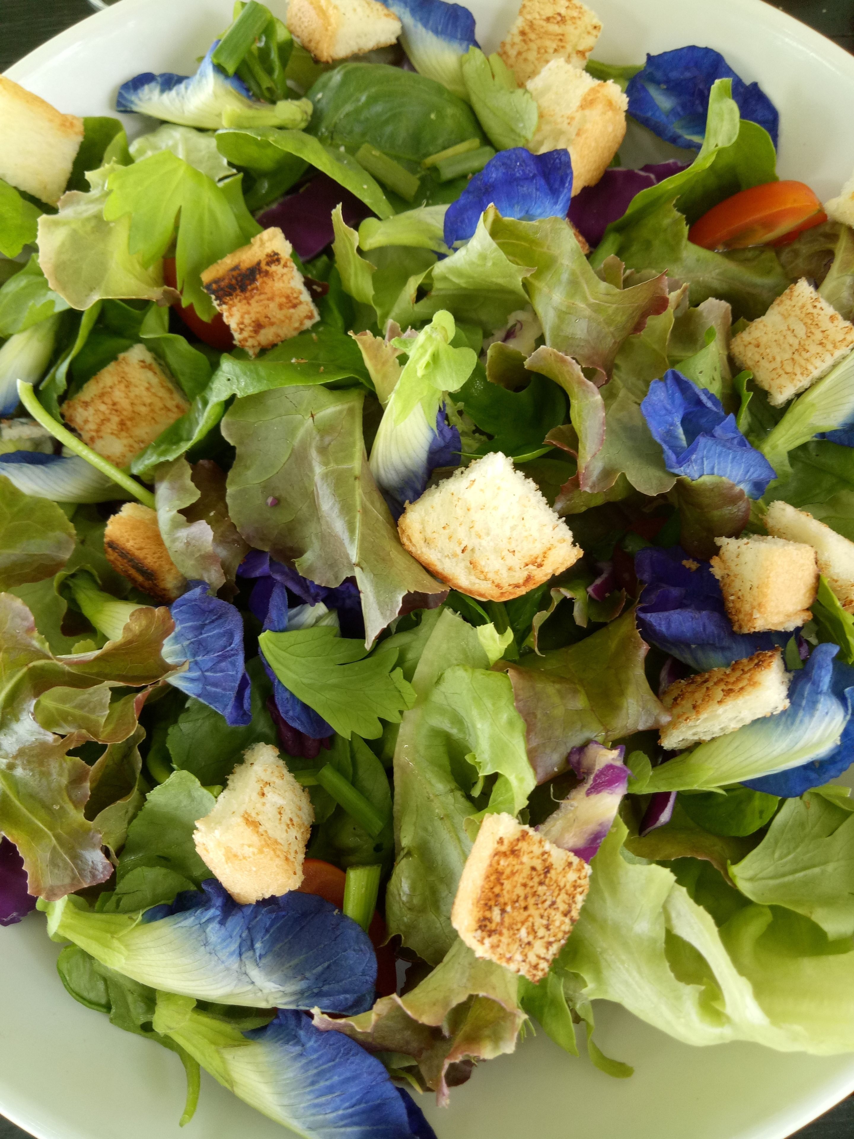 lunch, dinner served; thai cuisine, beach views