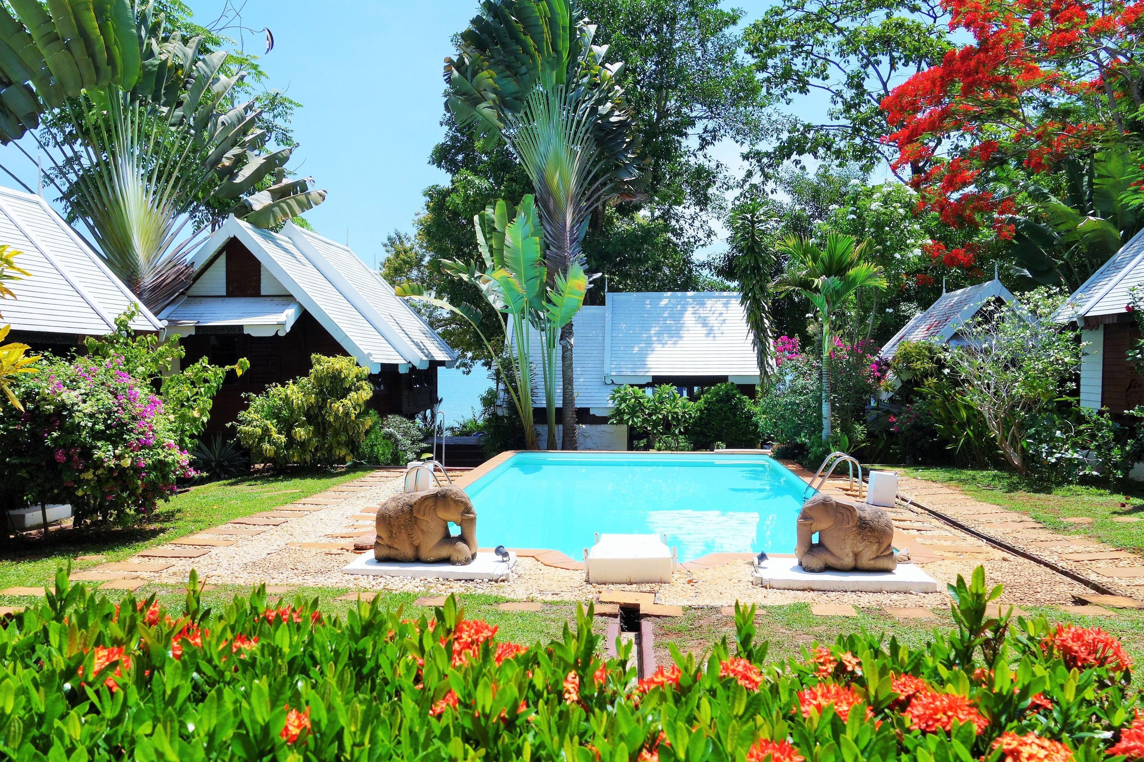 Outdoor pool, pool umbrellas, pool loungers