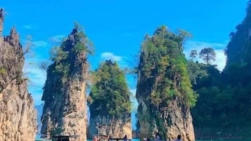 Un giro in barca attraverso un canyon con alte formazioni rocciose e vegetazione rigogliosa.