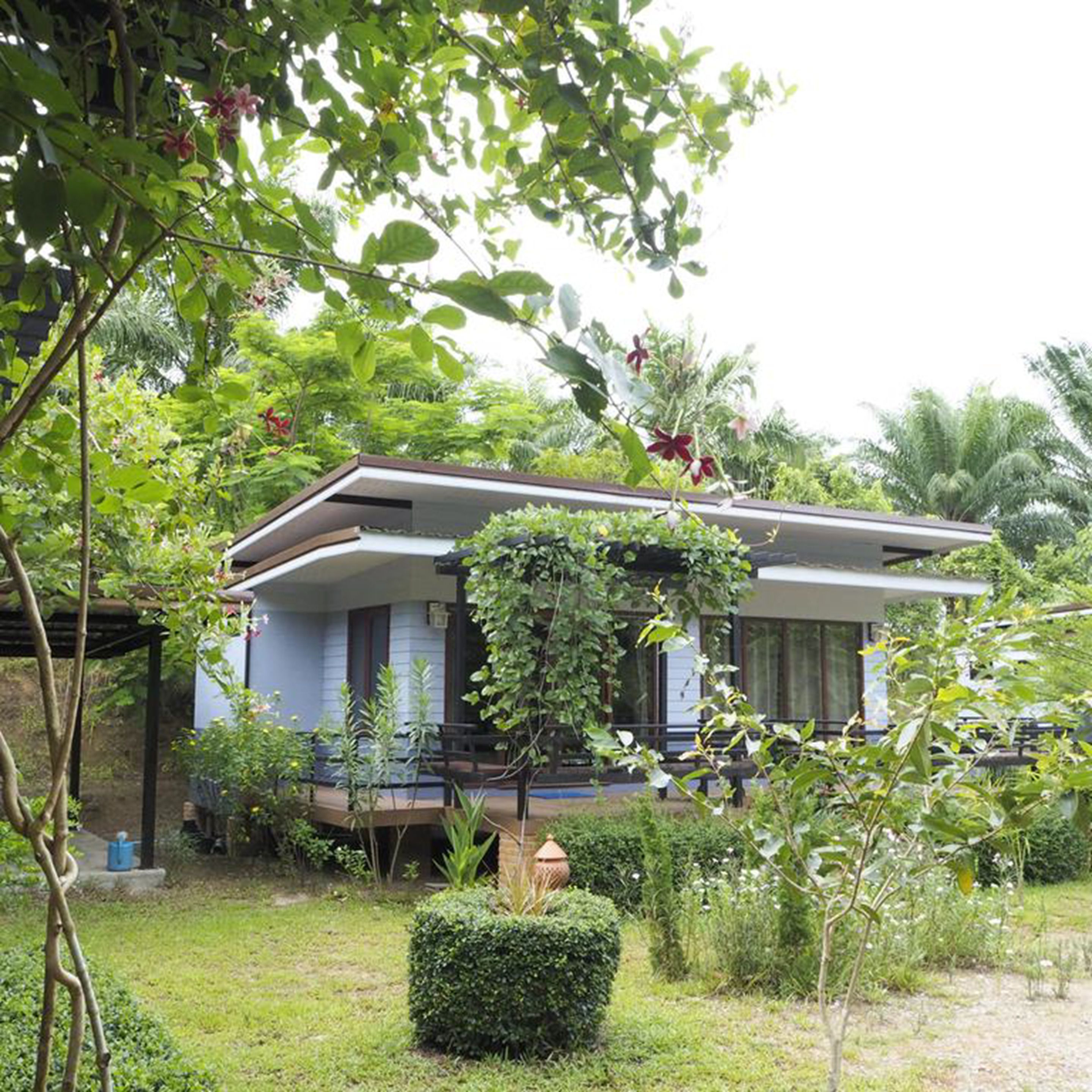 A house with a porch, surrounded by lush greenery and a well-maintained garden.