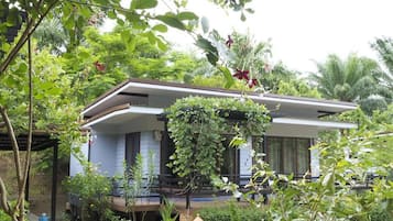 A house with a porch, surrounded by lush greenery and a well-maintained garden.