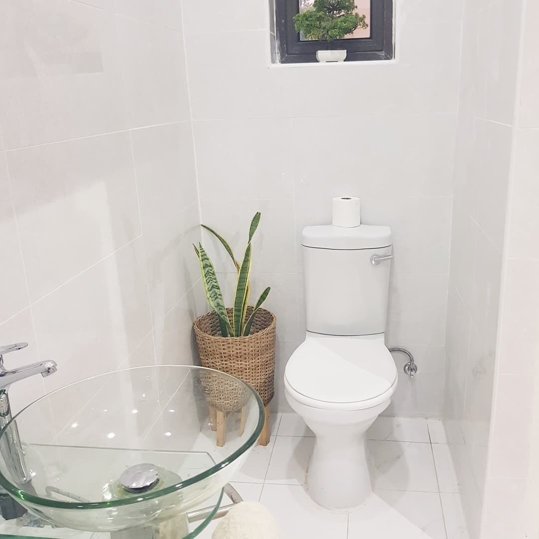 A bathroom with a glass sink, a white toilet, and a potted plant.