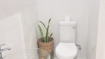 A bathroom with a glass sink, a white toilet, and a potted plant.