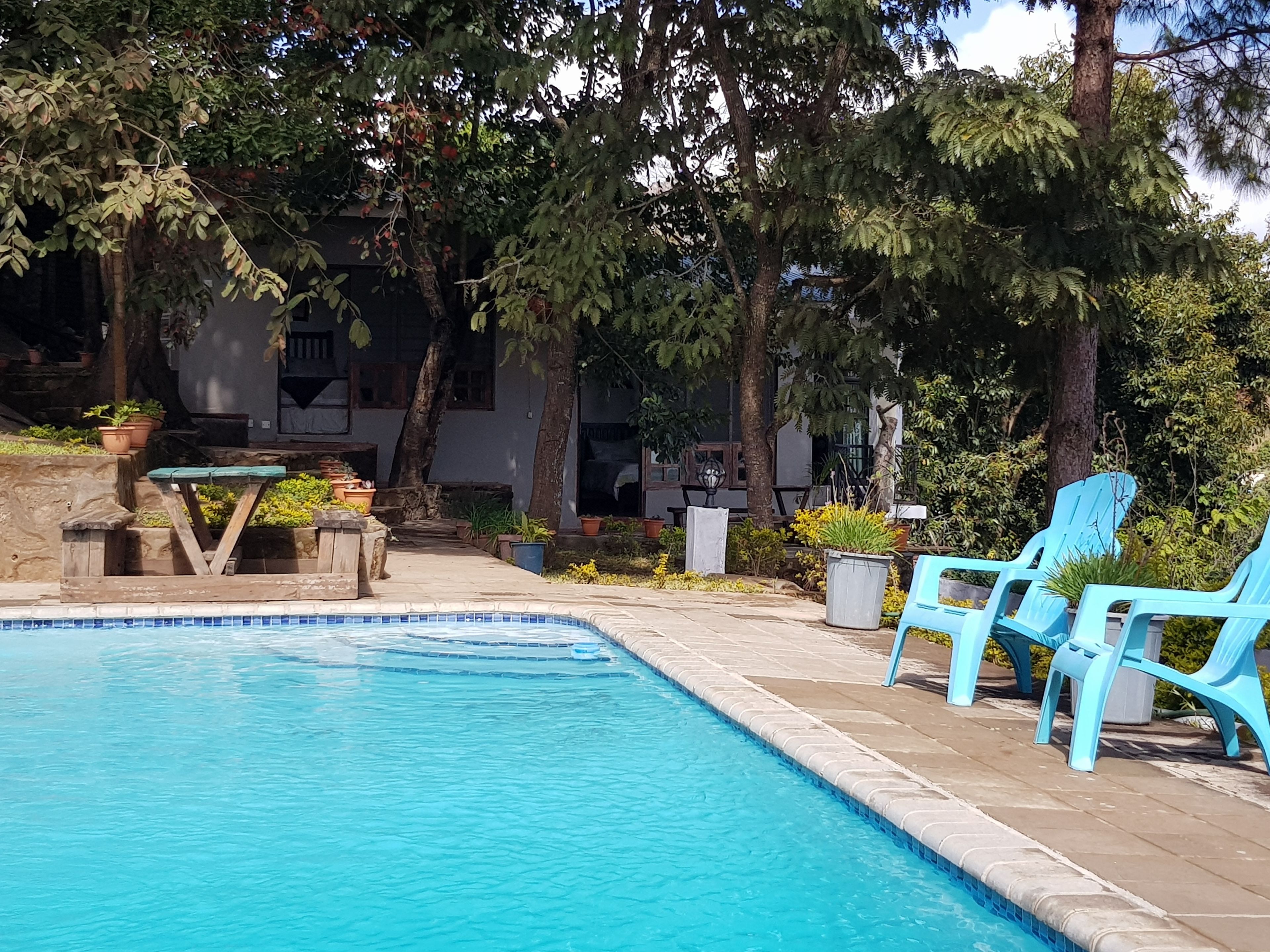 Ein Swimmingpool mit einer gefliesten Kante, umgeben von Blumentöpfen und Bäumen. Blaue Plastikstühle und ein Holztisch mit einer grünen Abdeckung sind vorhanden.