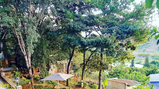 A swimming pool surrounded by lush greenery, with a stone wall and a wooden deck. - Chinyonga Guesthouse (Blantyre)