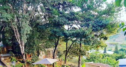 Chinyonga Guesthouse