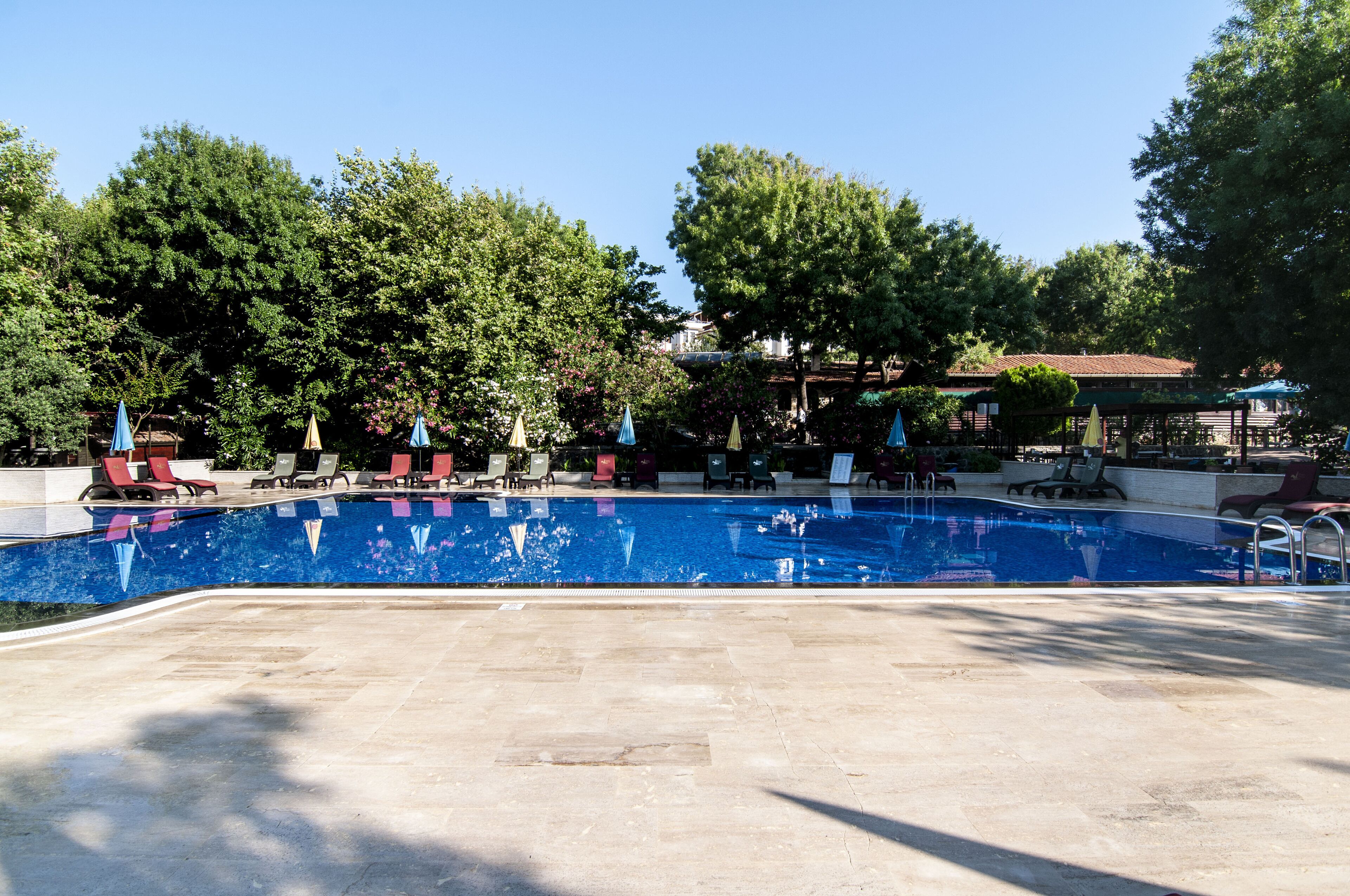 A swimming pool with lounge chairs and umbrellas, surrounded by trees and a building in the background.