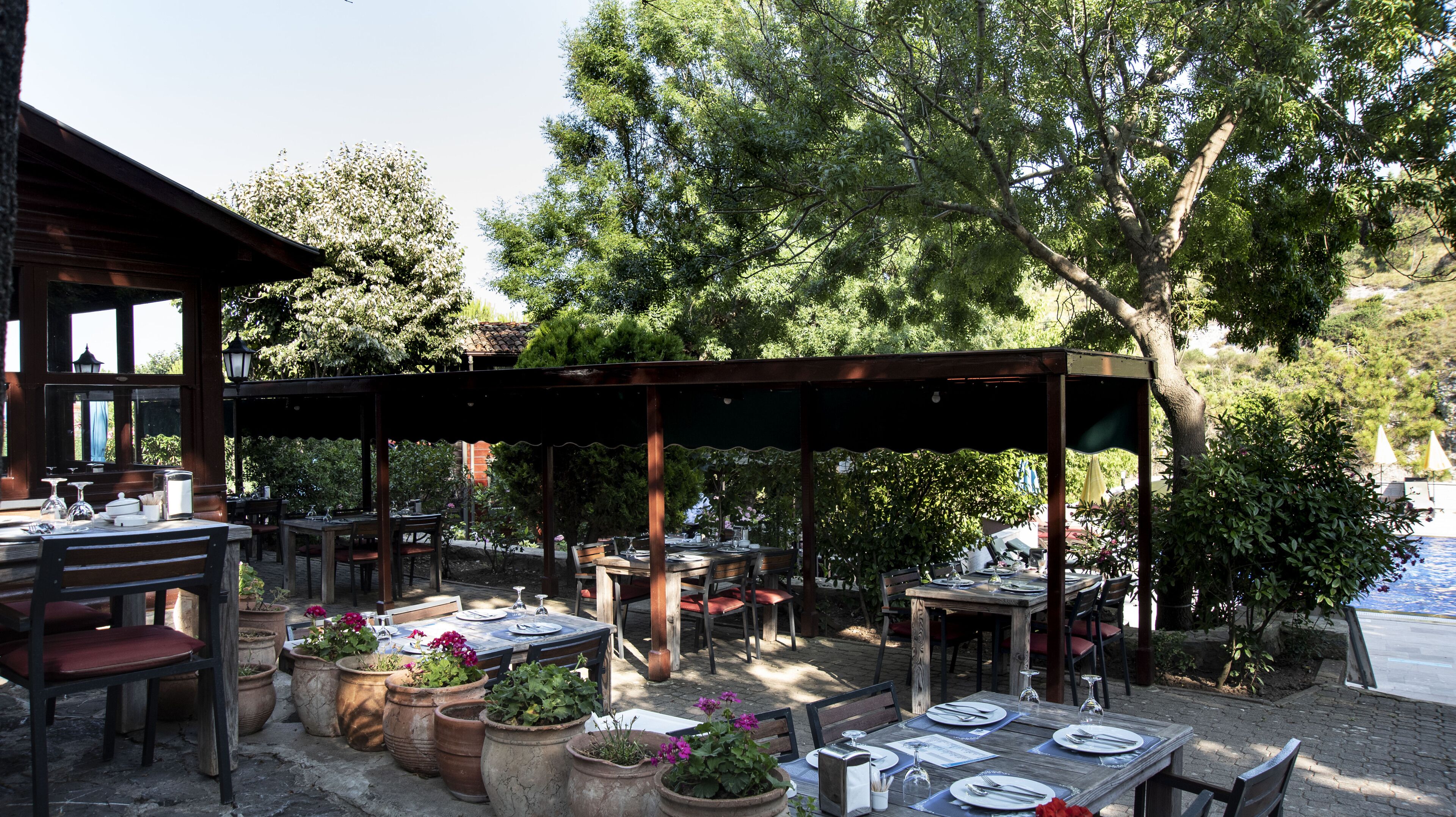 Un área de comedor al aire libre con mesas y sillas, rodeada de plantas en macetas y árboles.