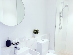 A modern bathroom with a large mirror, a toilet, a sink, and a shower. - Frangipanistays at 589E (Melbourne)