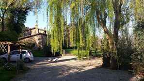 Property grounds - Podere Pescara (Orvieto)