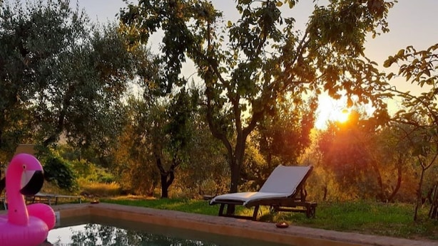 A swimming pool with a lounge chair and a pink flamingo float. - Podere Pescara (Orvieto)