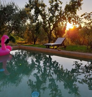 Outdoor pool - Podere Pescara (Orvieto)