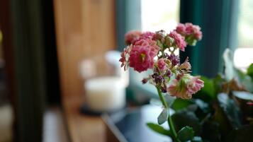 A potted plant with pink flowers on a wooden surface.