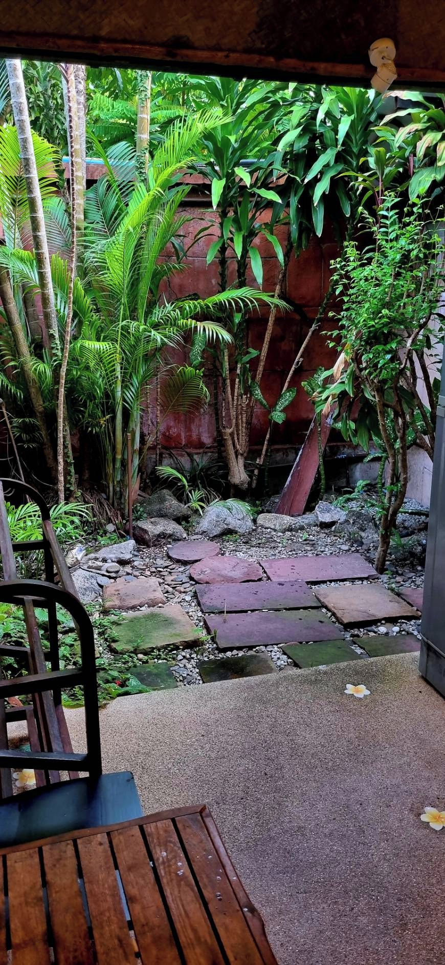 Un banco de madera y un sendero de concreto que conducen a una pequeña fuente rodeada de abundante vegetación.