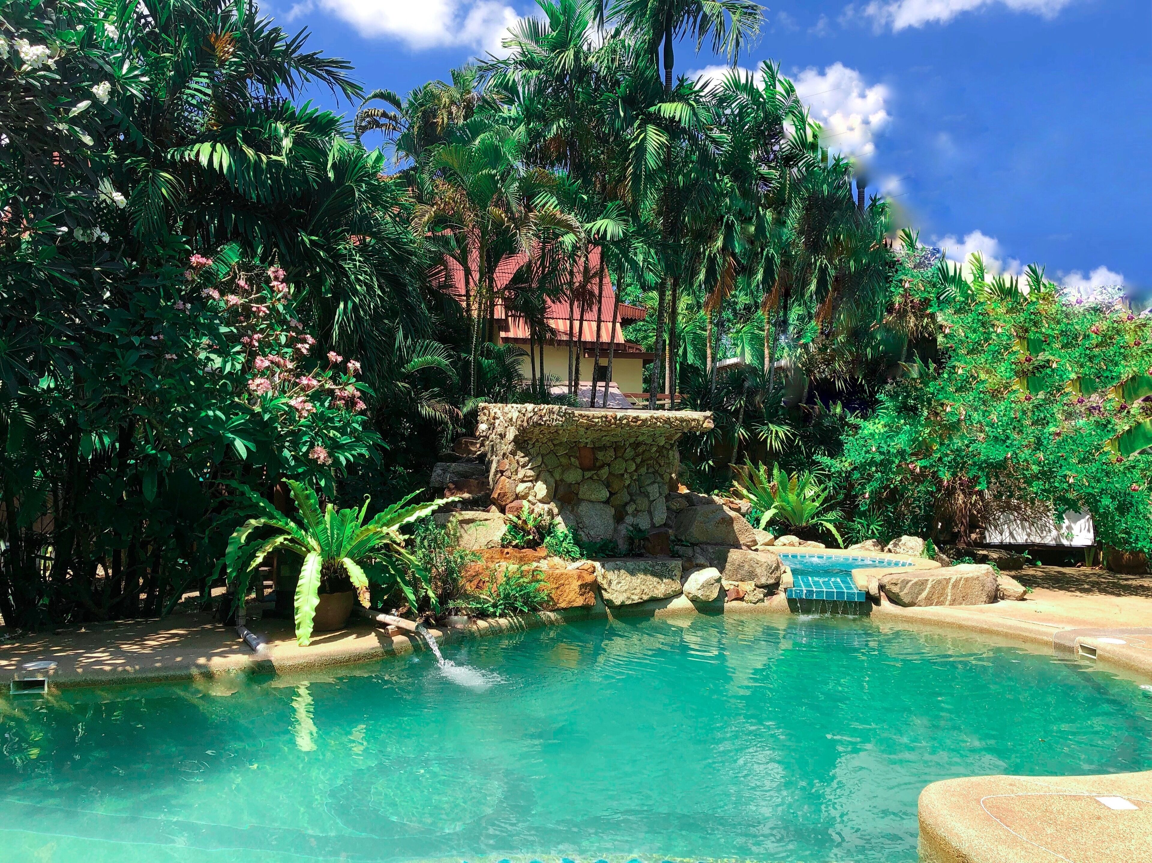 Una piscina al aire libre, sombrillas, sillones reclinables de piscina