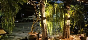 Een sfeervol nachtlandschap met bomen, een fiets en een auto op de achtergrond, verlicht door een straatlamp.