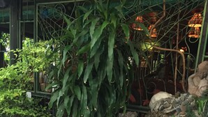 Un espace jardin aménagé avec des plantes en pot, un mur de pierre et une table en béton.