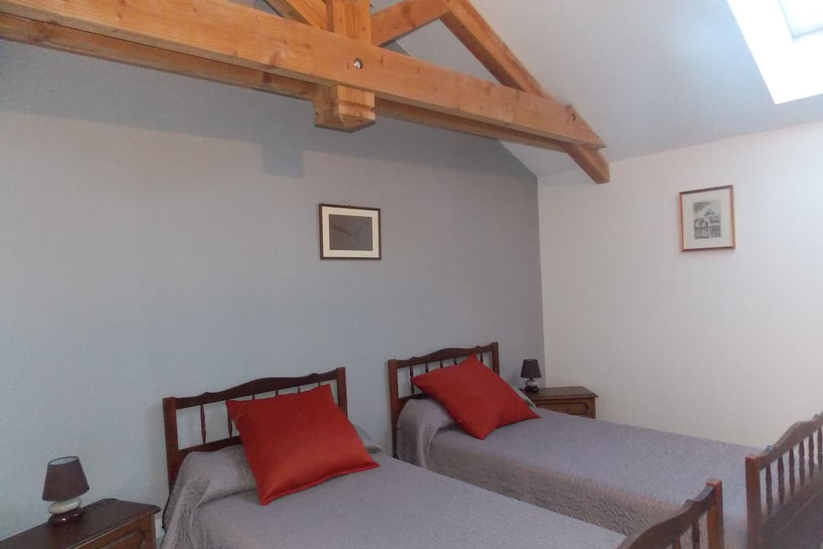 Superior Twin kamer | Geluiddichte muren, een strijkplank/strijkijzer, extra bedden