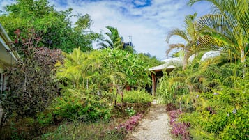 Vista al jardín