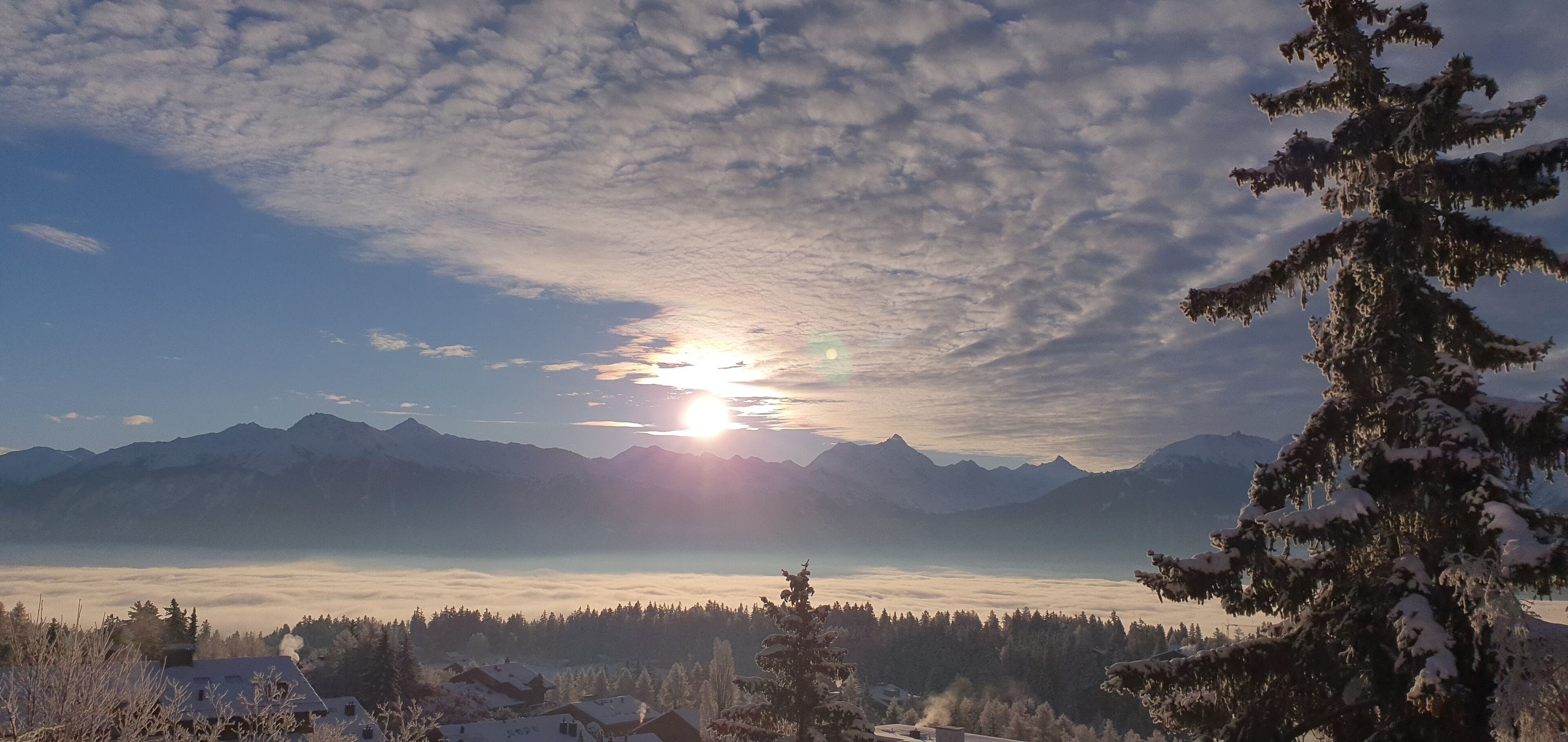 Paisagem montanhosa com nascer ou pôr do sol, árvores cobertas de neve e céu claro.