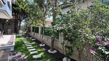 Un jardín bien cuidado con un sendero de piedra, césped verde y varios árboles.