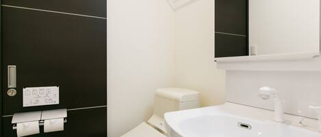 A modern bathroom with a toilet, sink, and mirror.