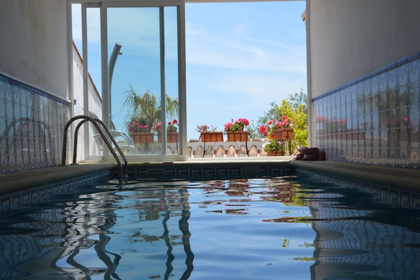 Indoor pool, sun loungers