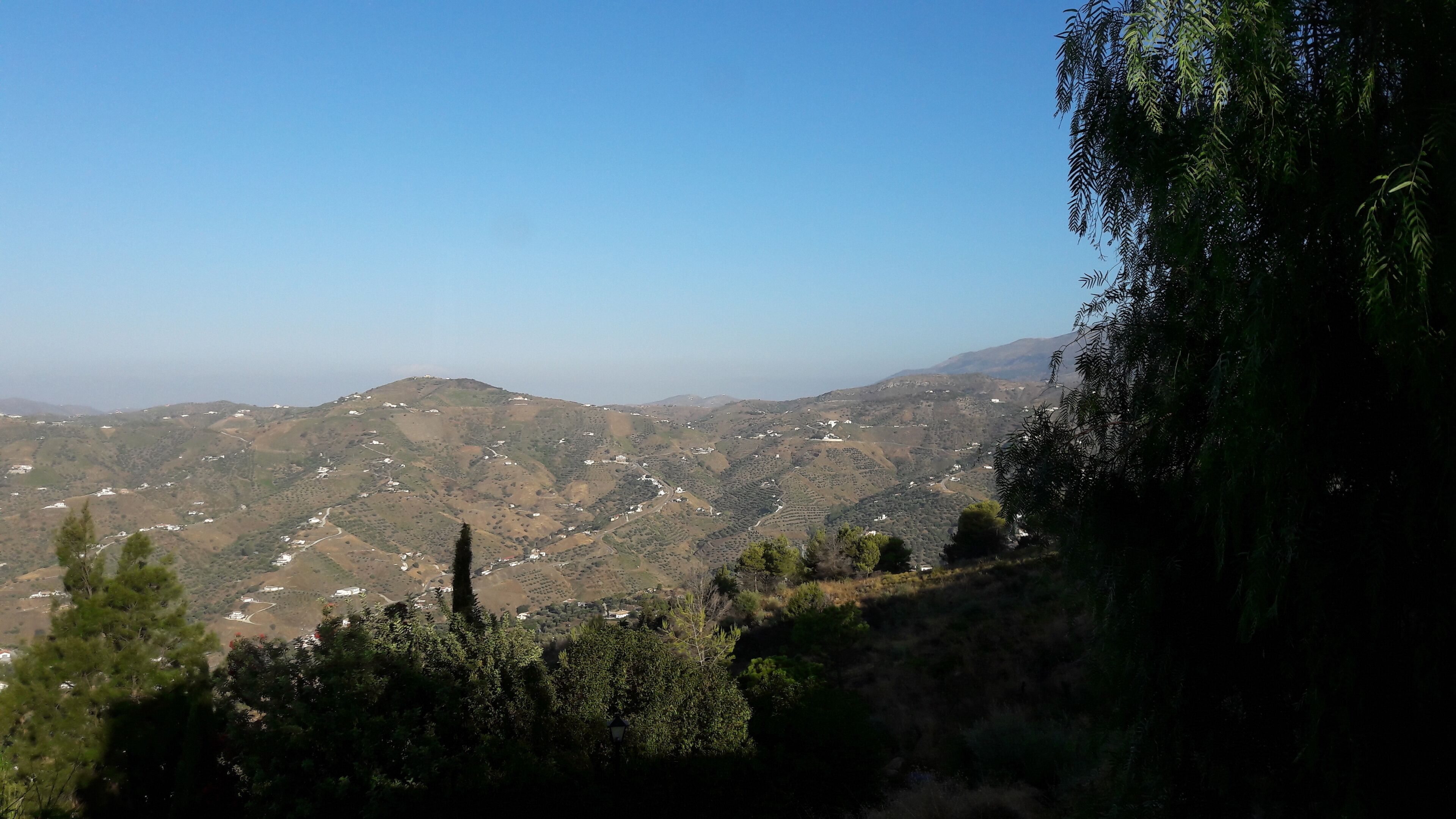 Foto - Casa Roble B&B