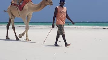 Ubicación cercana a la playa, arena blanca y 2 bares en la playa