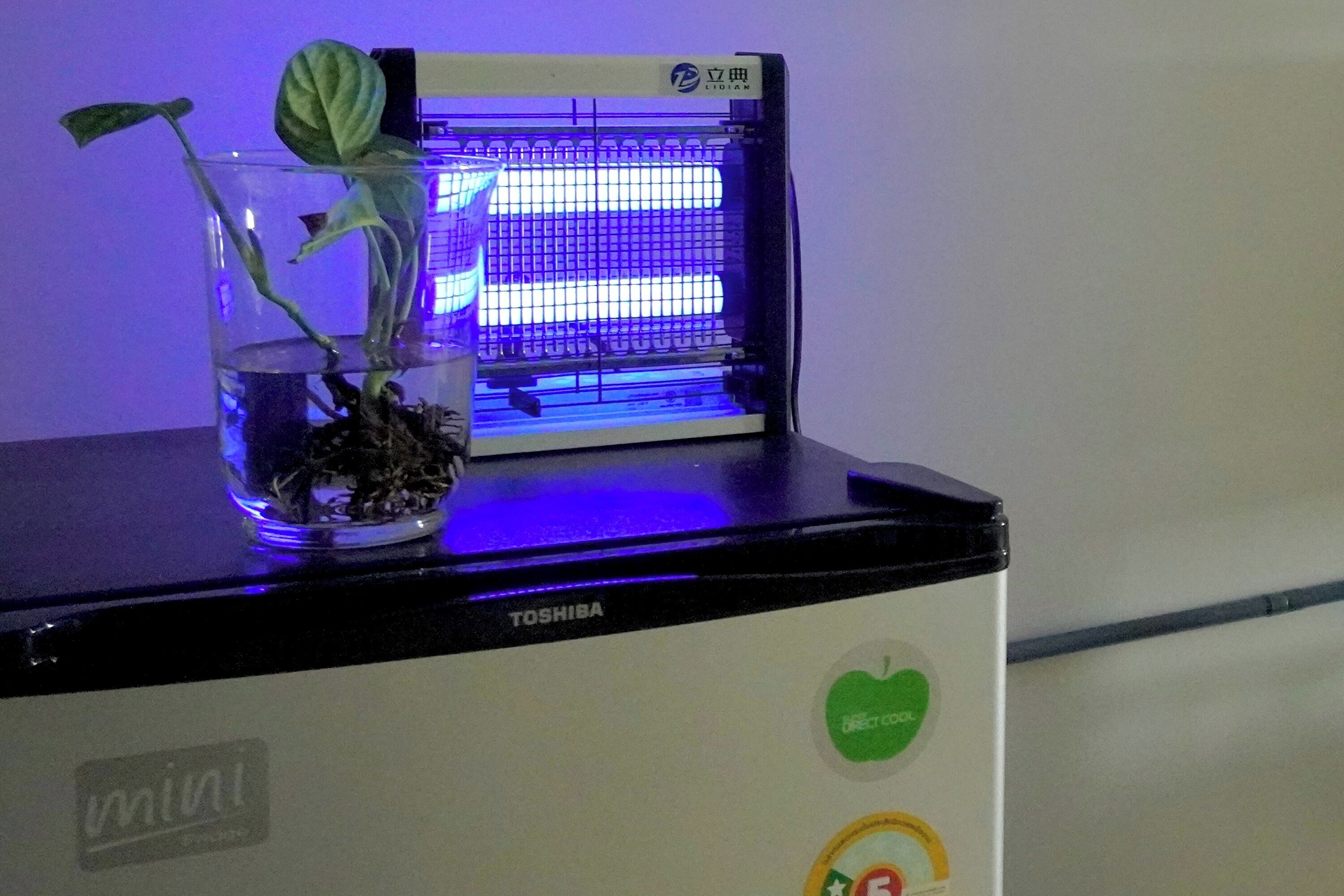 Foto - BW Thai Art Style Hotel