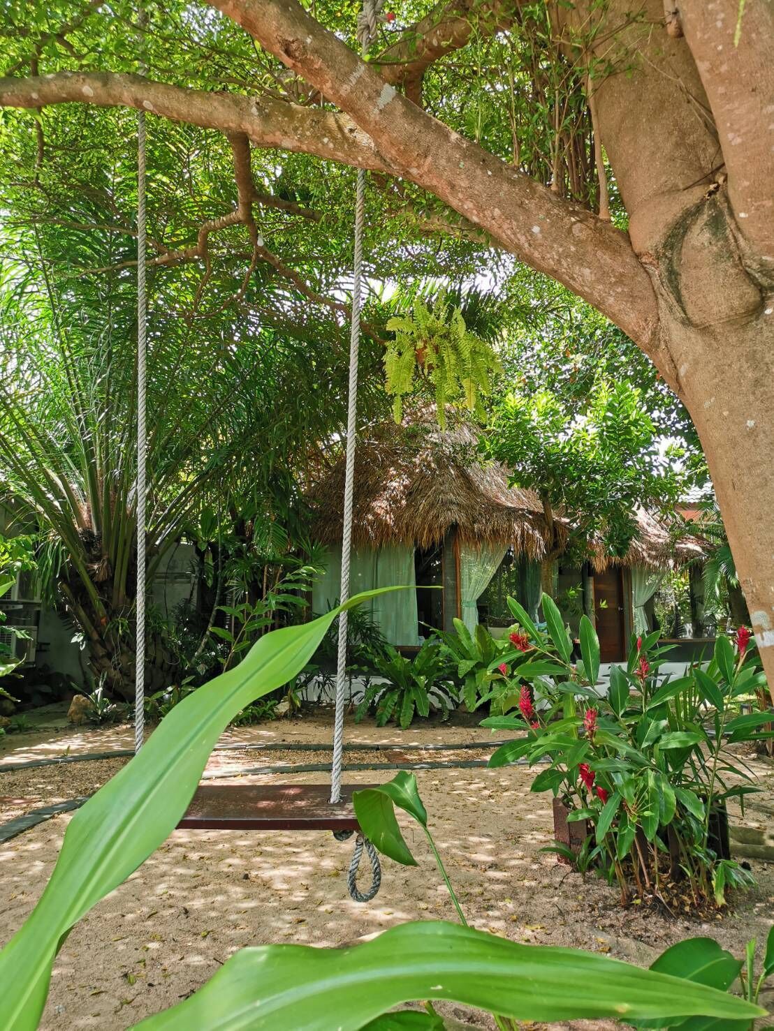 Televisión de pantalla plana de 40 pulgadas con canales por cable 