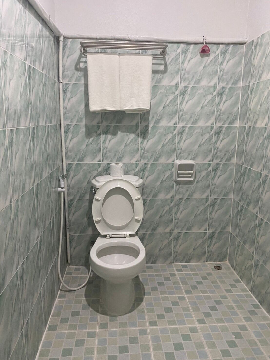 Ein Badezimmer mit Toilette, Handtuchhalter und Duschbereich.
