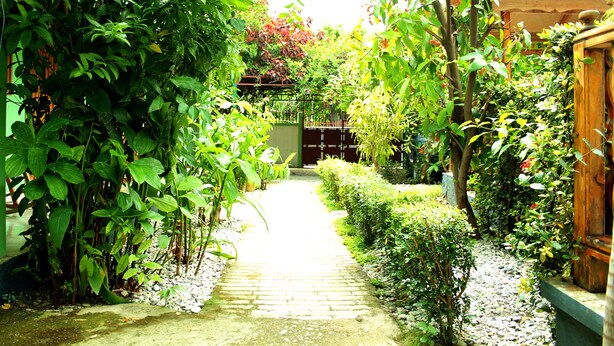 Um caminho no jardim com vegetação exuberante e cerca de madeira.