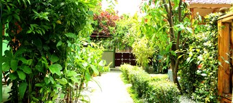 My Auberge Inn Jacmel