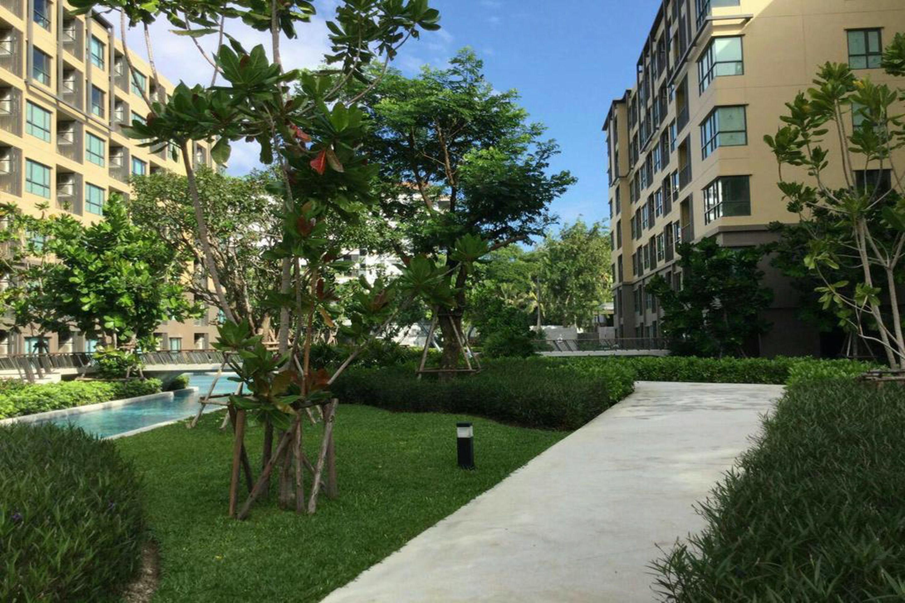 A residential area with a concrete pathway, lush greenery, and modern apartment buildings.