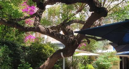 Hotel Jardin Croisette