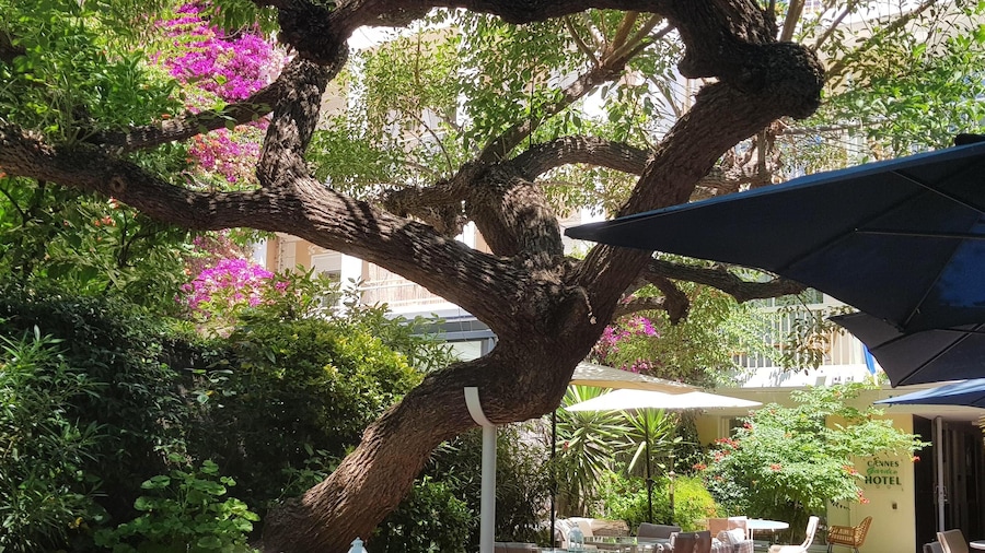 Hotel Jardin Croisette