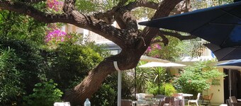 Hotel Jardin Croisette