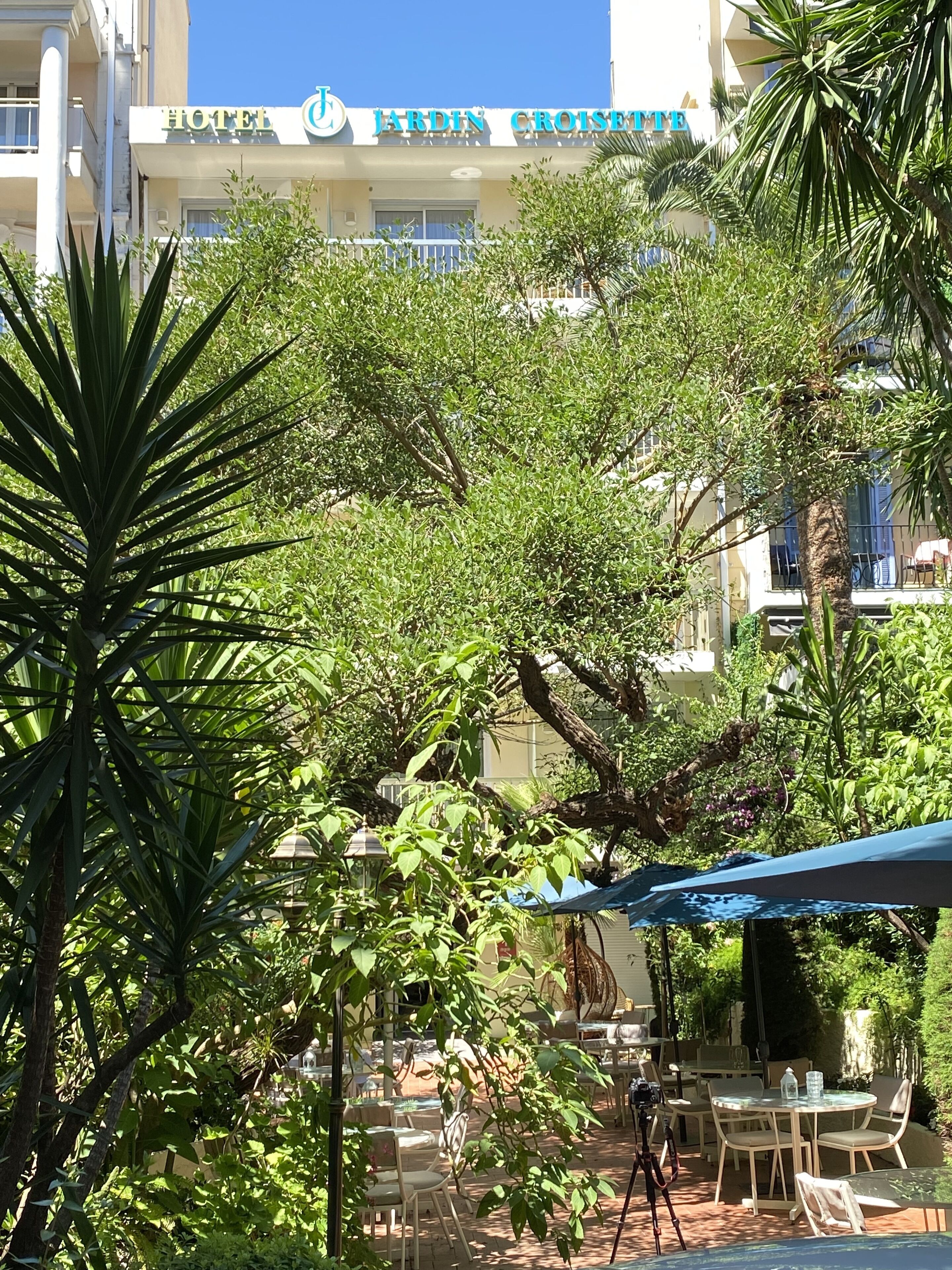 Photo - Hôtel Jardin Croisette
