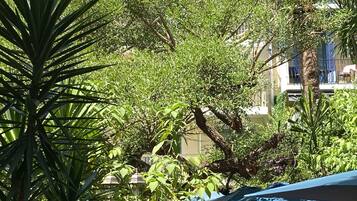 Façade de lâhĂ©bergement