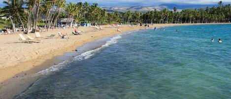 Condo, 2 Bedrooms | Beach | Beach nearby, beach towels