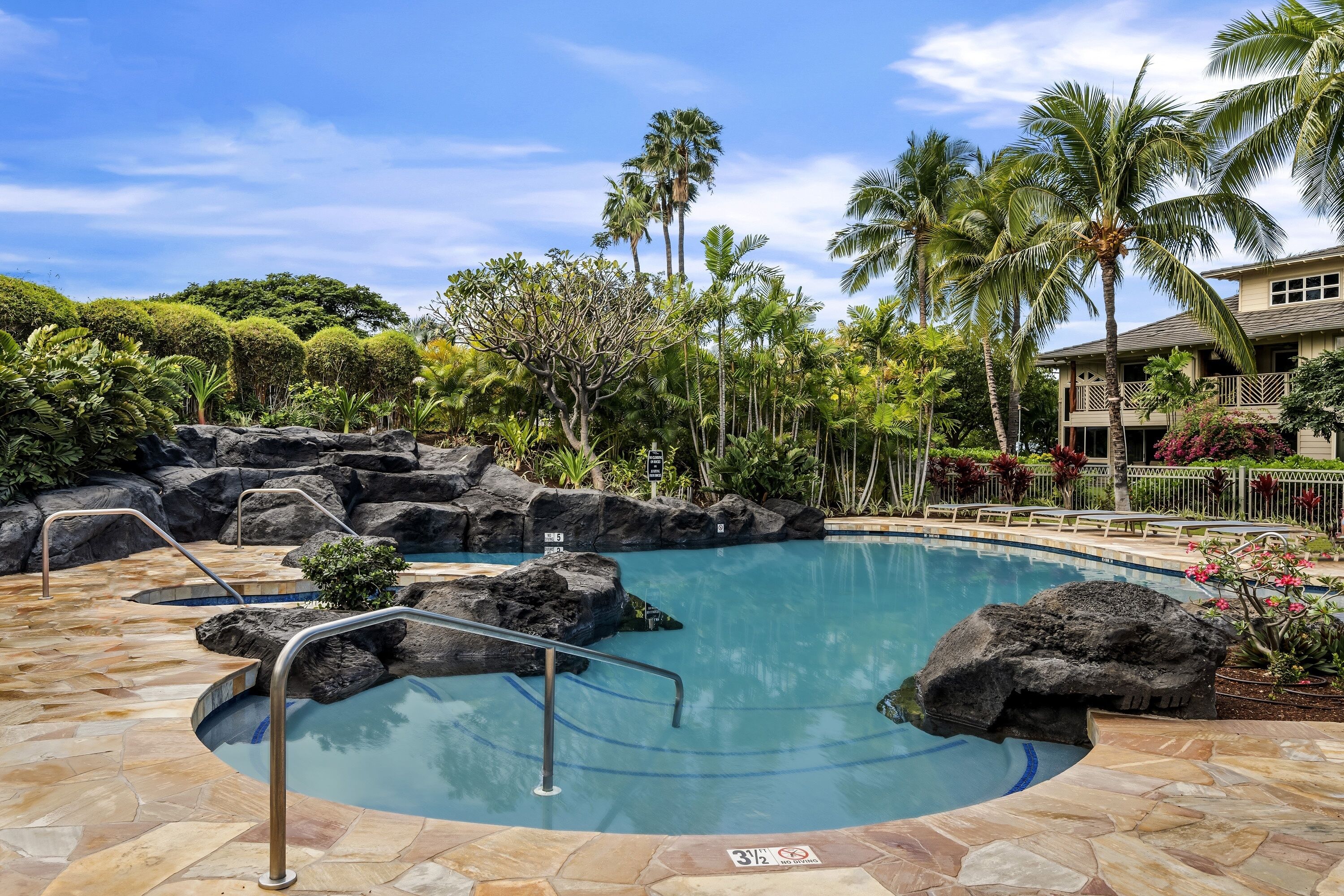 A swimming pool with a stone deck, surrounded by palm trees and tropical plants.