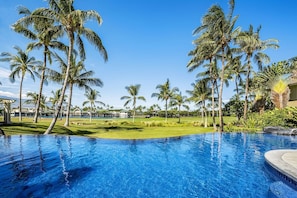 A swimming pool surrounded by palm trees and a well-maintained lawn.