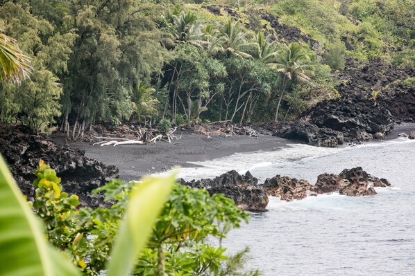 A coastal landscape with a black sand beach, palm trees, and rocky outcrops.