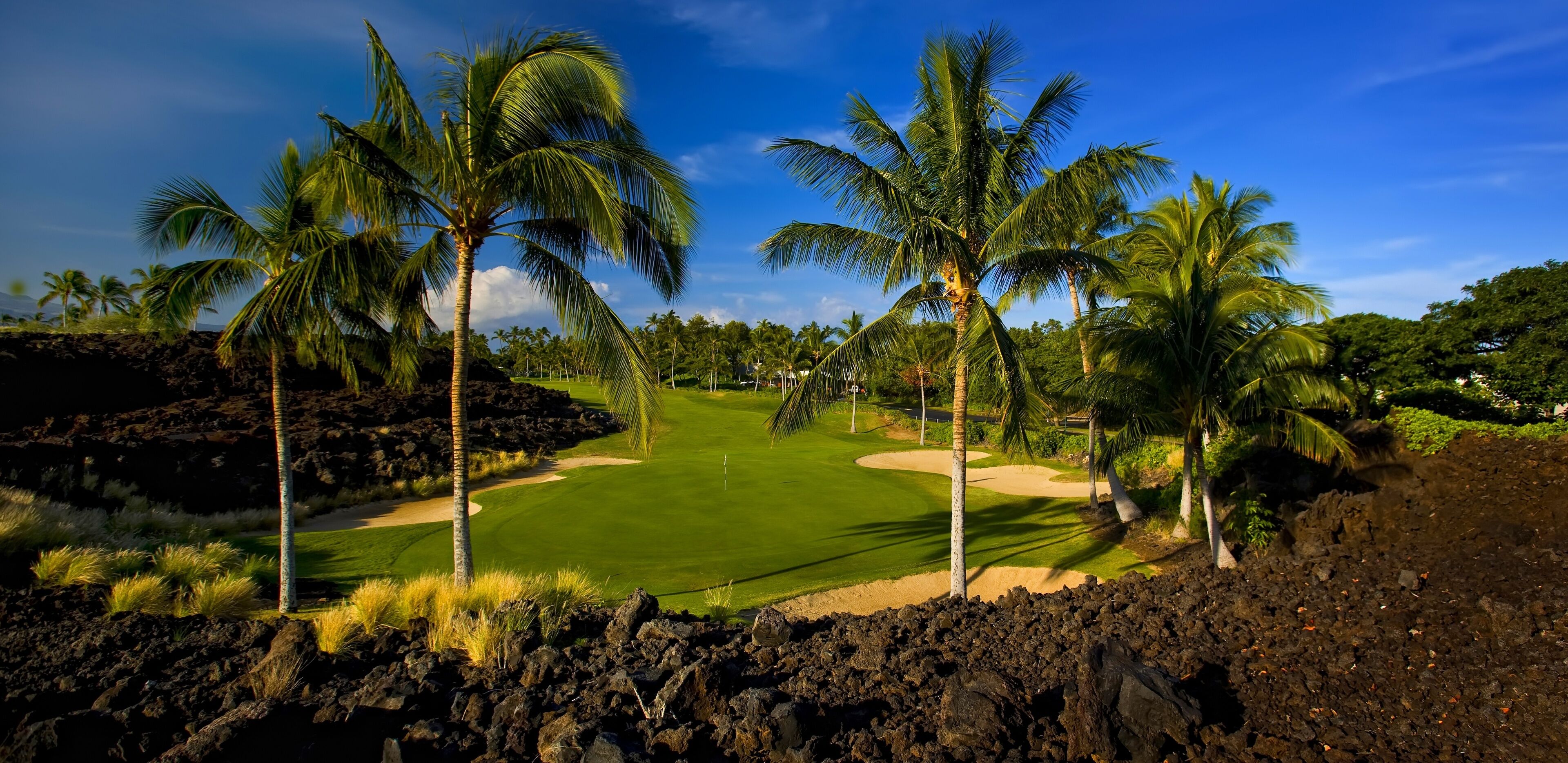 Campo de golf con palmeras, cielo despejado y primer plano rocoso.