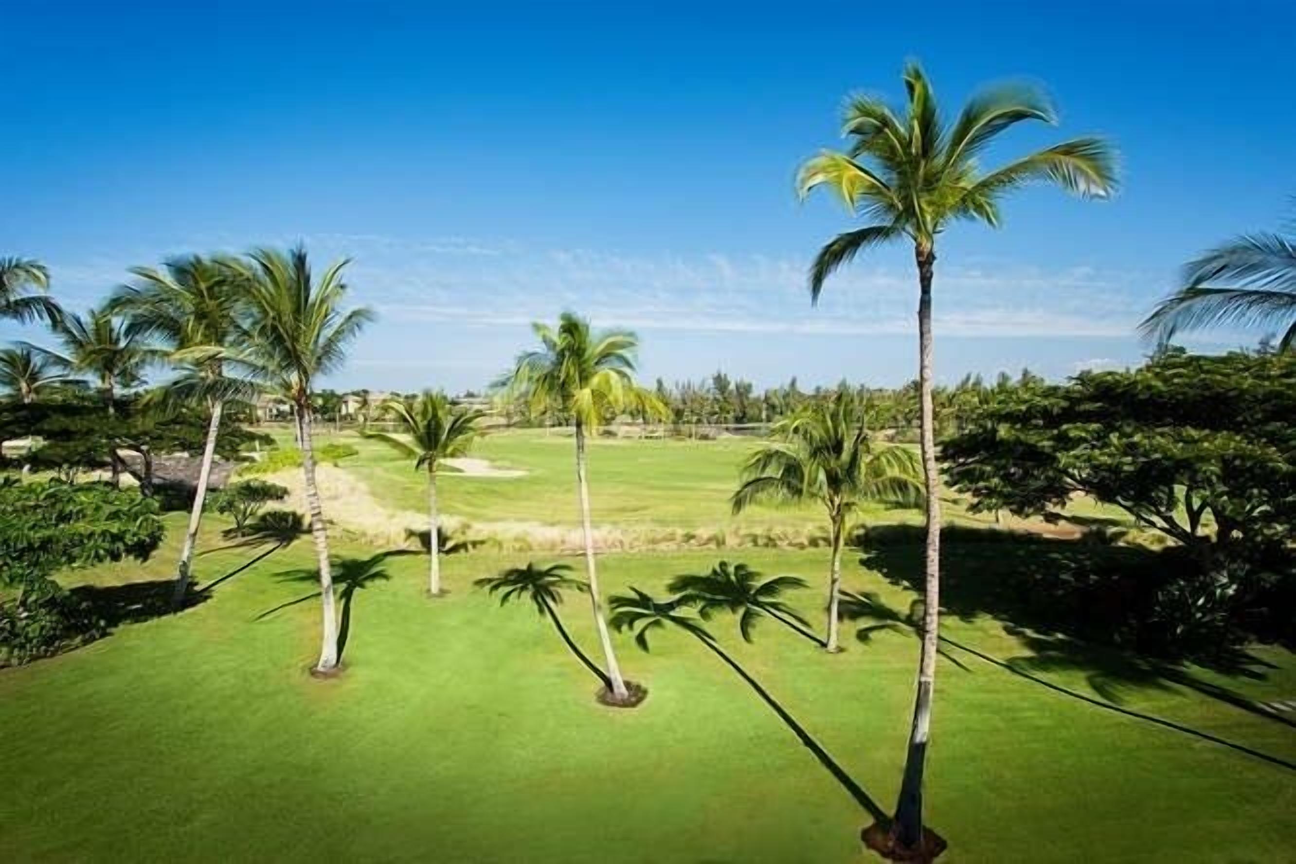 A golf course with palm trees and a clear blue sky.